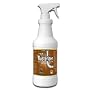 Green Bean Rusterizer 32oz Organic Rust Remover To Remove Rust With No Scrubbing Or Wiping.