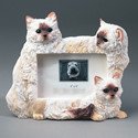 Himalayan Cat Picture Frame (4x6)