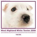 The Dog West Highland White Terrier 2006 Calendar (Artlist Collection)