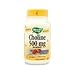 NATURE S WAY Choline 500mg 100 CAPS