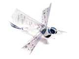 from HOTcraze R/C Flying Dragonfly