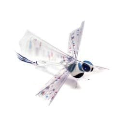 R/C Flying Dragonfly