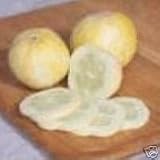 Cucumber Lemon  - 12 Seeds - Cucumis sativus