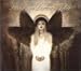 Beauty in Darkness, Vol. 5