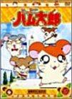 DVD とっとこハム太郎(16)