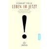 Leben im Jetzt: Lehren, �bungen und Meditationen aus 'The Power of Now'