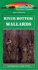 River Bottom Mallards
