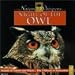 Nature Whispers: Night of the Owl