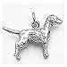 Dog, Dalmatian Charm