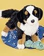 Bernese Mountain Dog Plush (Trevor from Douglas Company)