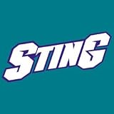 WNBA Rep Jersey Charlotte Sting Youth (EA)