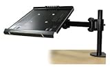 Lindy Notebook-Arm Für mehr Platz auf Ihrem Schreibtisch und, 40732