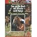 Das gro�e Buch der Pferde und Ponys. Alles �ber Herkunft, Rassen, Reiten, Pflege
