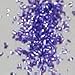 Gourmet Food : Lavender Edible Glitter