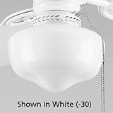 Progress Lighting P2620-33EBWB Energy Star Ceiling Fan Light Kit in Cobblestone