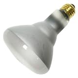 Litetronics 33200 - L-779 Light Bulb