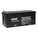 UPG Sealed Lead-Acid Battery - AGM-type, 12V, 200 Amps, Model# UB-4D