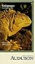 Audubon's Galapagos: My Fragile World [VHS]