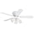 Westinghouse 7850800 Contemporary Trio Three-Light 42-Inch Five-Blade Ceiling Fan, White with Frosted Globes