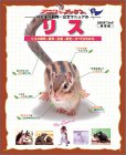 『リス―リスの飼育・医学・生態・歴史…すべてがわかる (スタジオ・ムック―アニファブックス-わが家の動物・完全マニュアル-)』の写真