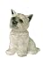 Big Sky Carvers Westie Dog Cookie Jar