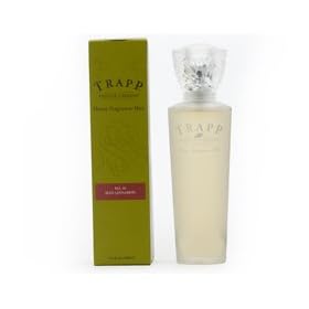 Trapp Home Fragrance Mist - No 39 Sexy Cinnamon 3.4 oz.