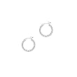925 Sterling Silver 1/2 Inch Diamond Cut Hoop Earrings