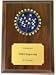 Pinewood Derby Insert Plaque