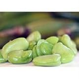 UPC 026938001599 product image for Woodstock Farms Fava 25 LB - SPu265280 | upcitemdb.com