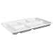 Chinet VALISE 8-1/2 Inch by 12-1/2 Inch Size 6 Compartment Heavyweight Molded Fiber Cafeteria Tray 125-Pack (Case of 4)