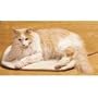 PetSafe Small Heated Pet Pad (Dog, 1-15 pounds)