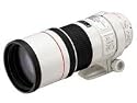 Canon EF 300mm f/4L IS USM Image Stabilising Lens & EF 1.4x II Extender Kit