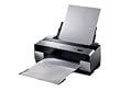 EPSON Stylus Pro 38002880x1440dpi/9.8m2/A2/8-farb