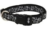 Flora Black Collar & Leash