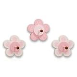 Petals Clothes Pegs
