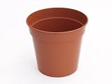 Review Sankey  / Sankey 131 Plant Pot 6cm X10