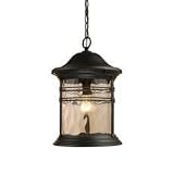 Landmark Lighting Madison Outdoor Collection Hanging Lantern in Matte Black with Gold Highlights
