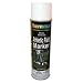 Sporting Goods : Athletic Striping Paint (White)