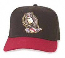 Sacramento River Cats Road Cap by New Era