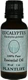 Eucalyptus 100% Pure Essential Oil - 30 ml