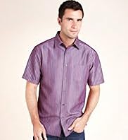 Big & Tall Blue Harbour Modal Blend Striped Shirt