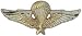 Vietnam Jump Wings Large Pin