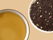 シェドゥーブル 紅茶 マサラチャイ Masara Chai 50g