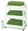 Tribest Sproutman's Soil-Free Wheatgrass Grower SM-350