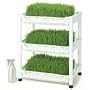 Tribest Wheatgrass Grower