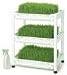 Tribest SM-350 Sproutman Wheatgrass Grower