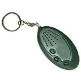 Recording Key Chain Includes 3 Ag13 Batteries