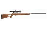 Benjamin Sheridan Benjamin Trail NP Airguns & Accessories