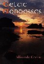 Celtic Goddesses: Warriors, Virgins and Mothers