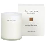 Archipelago Botanicals Excursion Collection Soy Wax Candle: Fiji - B001M0ZVSI